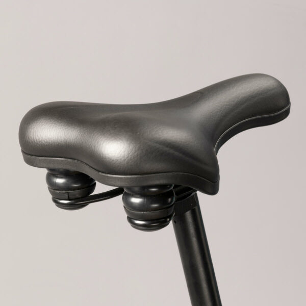 Vélo tout chemin électrique NEOMOUV RAIPON Bleu