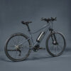 Vélo Tout Chemin électrique RIVERSIDE 540 E BLEU