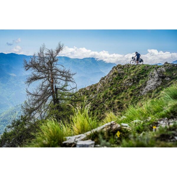 Vélo Tout Chemin RIVERSIDE 920