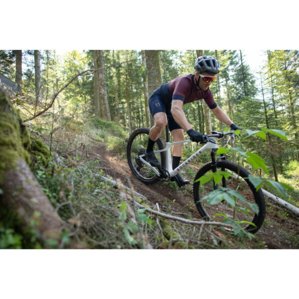VELO VTT cross country RACE 900 GX AXS roues Mavic Crossmax