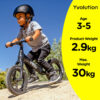 Vélo Draisienne tout terrain 3 ans