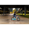 Vélo 14" 3-5 ANS 100ARCTIC