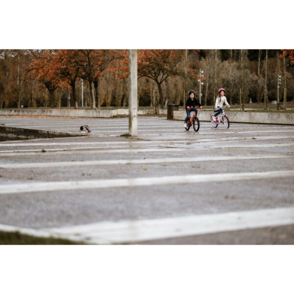 Vélo 16" 4-6 ANS 500