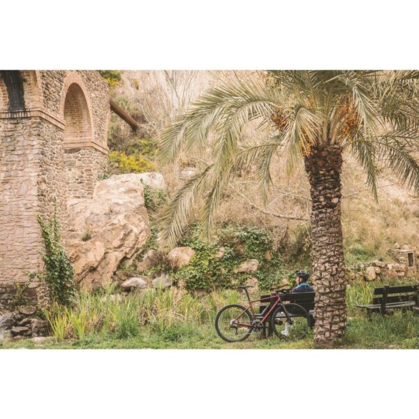 Vélo de route à assistance électrique E-EDR AF Shimano 105 2x11S rouge