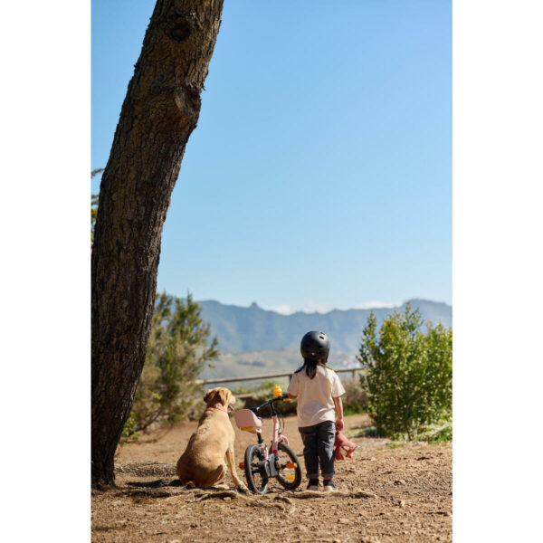 Vélo Enfant 2EN1 DRAISIENNE 3-5 ANS 14" DISCOVER 500