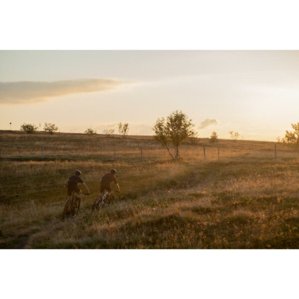 VELO VTT cross country RACE 900 GX Eagle roues Reynolds carbone